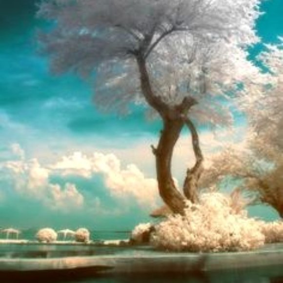 Its Meee, Minty! 😎 (AnnaBella)~ Your Posher, Seller and Buyer - Picture 11 of 14